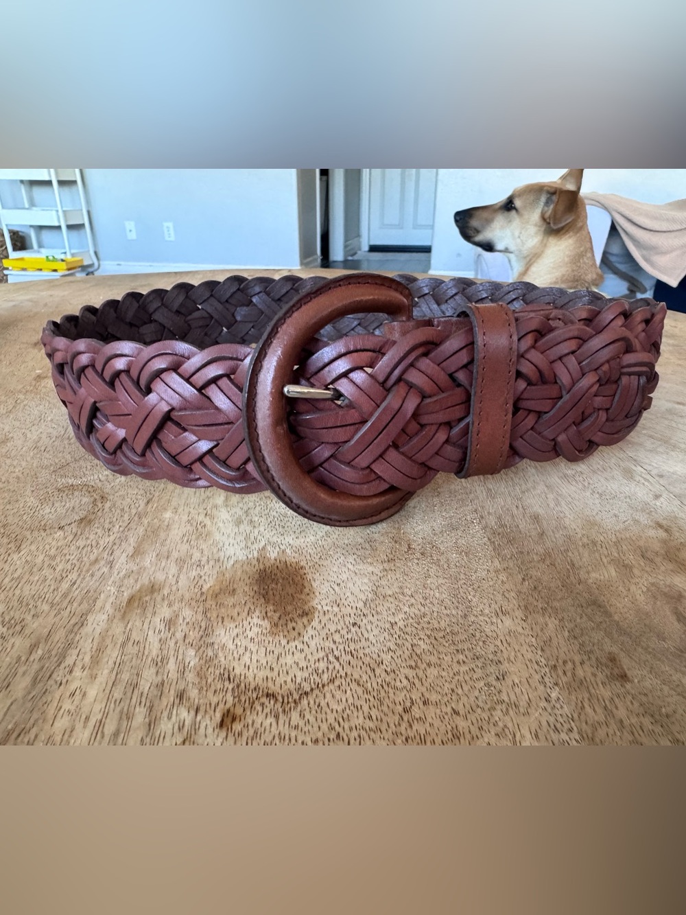 Dark brown braided leather thick woven belt small banana republic